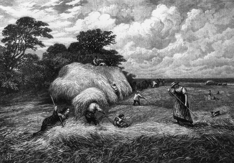 circa 1825: An idyllic scene showing farm workers harvesting the barley. Photo via Getty Images.